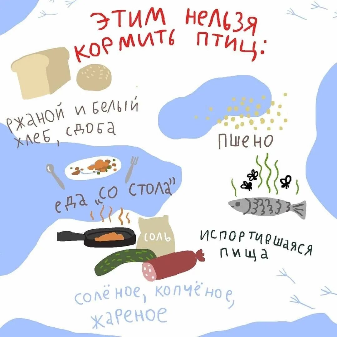 Что дать птицам в кормушку