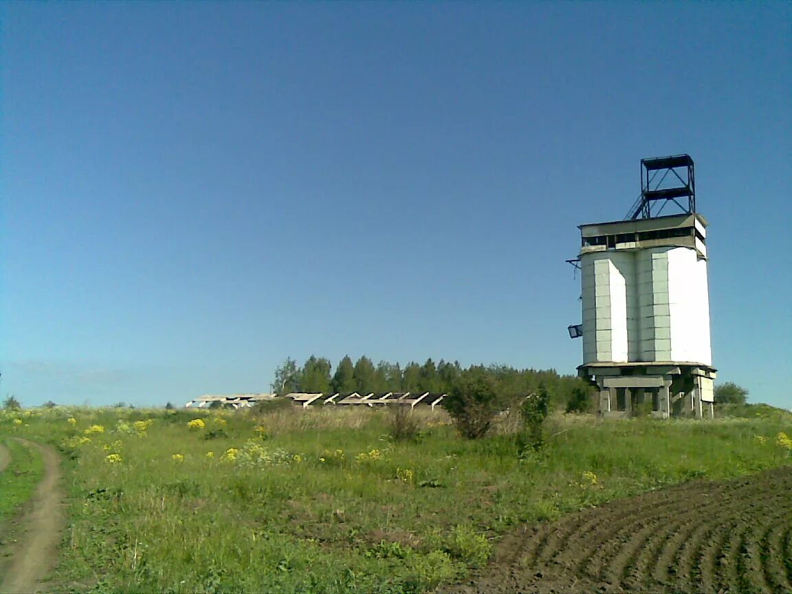 Г 16 га. Деревня даровая Тульская область. Тульская обл. Веневский р-н д даровая. Фото земельного участка с коровником. Здание 16 гектар.