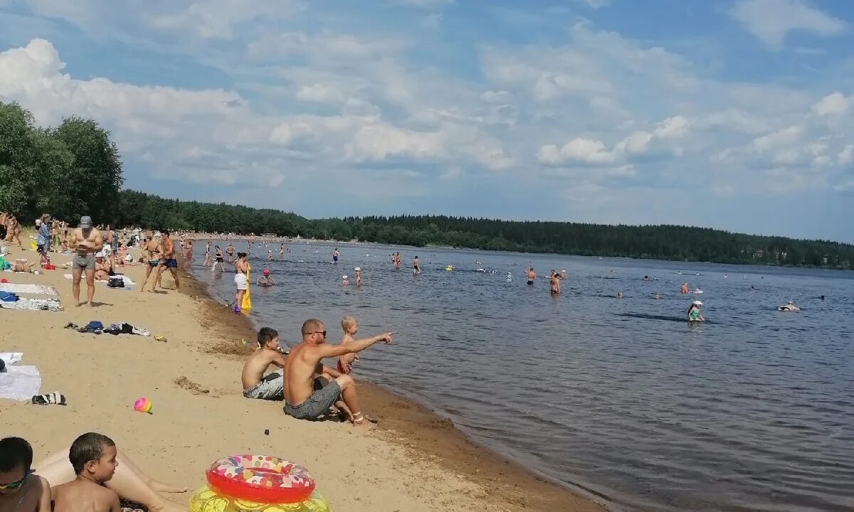Какое ожидается лето 24 года. Лето в России. Жаркое лето. Лето в этом году. Самые жаркие лета в Курской области.