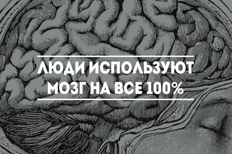 Brain only. 10% Мозга. Мозг человека используется на процентов. Мозг человека задействован на процентов. Мозг используется на 10 процентов миф.