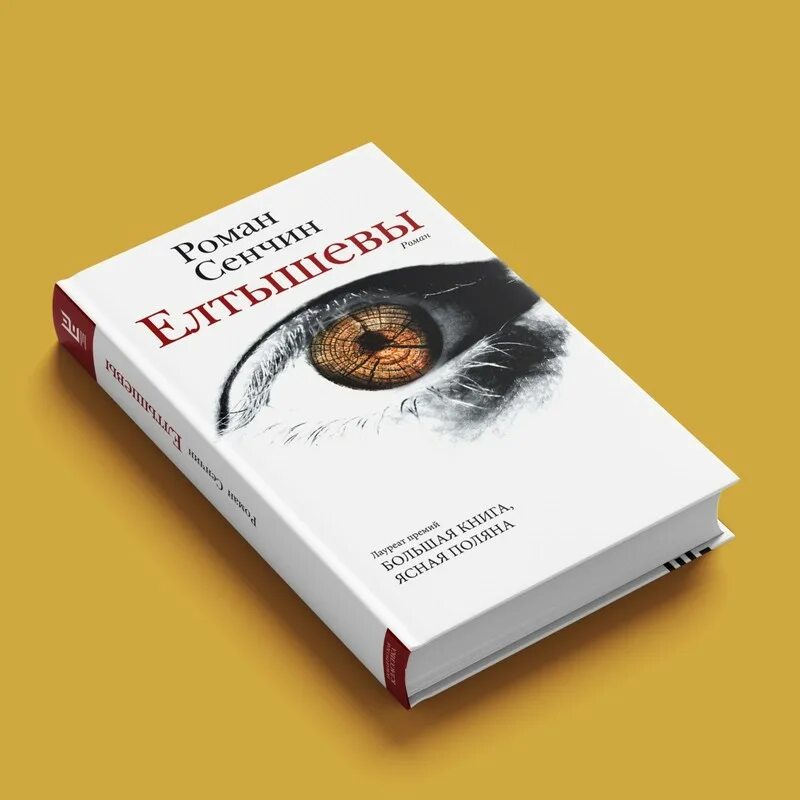 Сенчин елтышевы. Елтышевы книга. Сенчин елтышевы. Сенчин книги. Сенчин елтышевы.