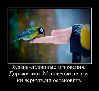 Ни вернуть