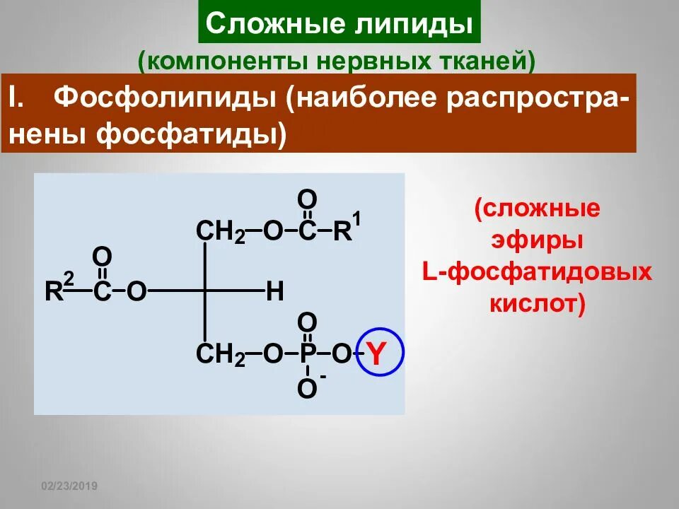 Строение фосфолипидов биохимия. Структурная формула фосфолипидов. Фосфатиды. Фосфолипиды строение биохимия.