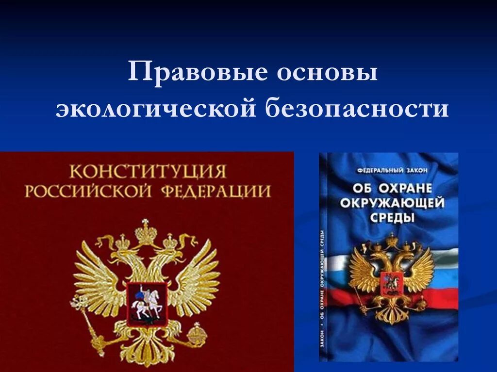 Правовое движение рф. Экологическое законодательство России. Правовые основы экологической безопасности. Природоохранное законодательство. Правовая основа.