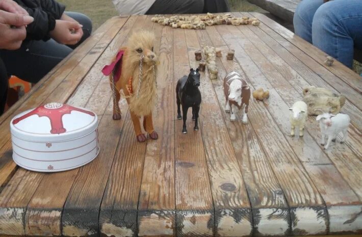 Табан хушуун мал животные. Пять животных бурят. Табан хушуун мал рисунки. Животные на бурятском. Табан хушуун мал на бурятском.