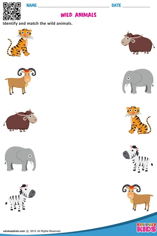 Дикие животные Worksheets. Животные Worksheets for Kids. Найти пару животные. Дикие животные Worksheets for Kids. Wild animals worksheet