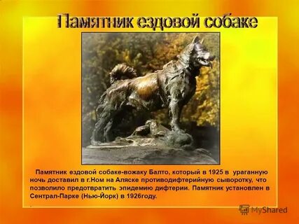 Про собаку того