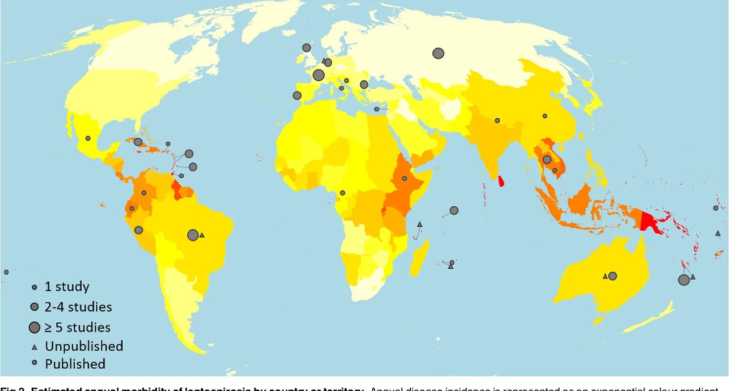 Disease incidence. Распространение туберкулеза в мире. Disease incidence. Disease statistics disease statistics. World map of cardiovascular disease prevalence.
