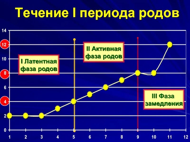 Фаза замедления. Латентная активная и фаза замедления. Фаза замедления в родах. Активная фаза родов. Фазы схваток