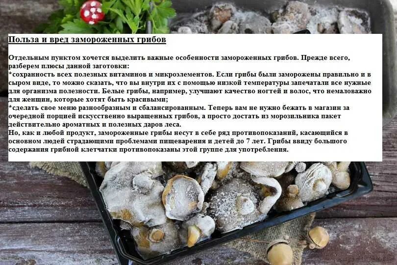 Сколько варить перед. Продолжительность варки грибов. правила приготовления грибов. сколько времени варить грибы. сколько варить грибы для грибницы.