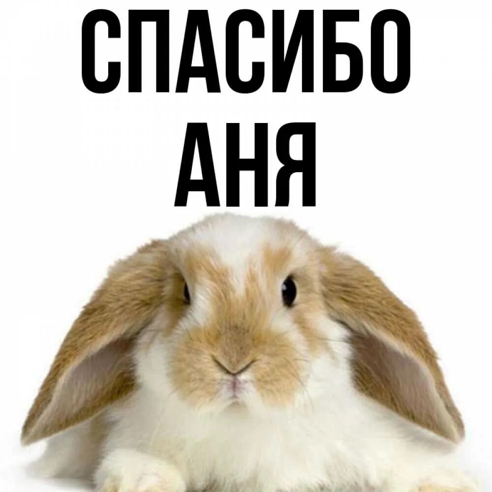 Спасибо ане. Спасибо аня. ярик картинки. имя ярик. анечка спасибо большое.