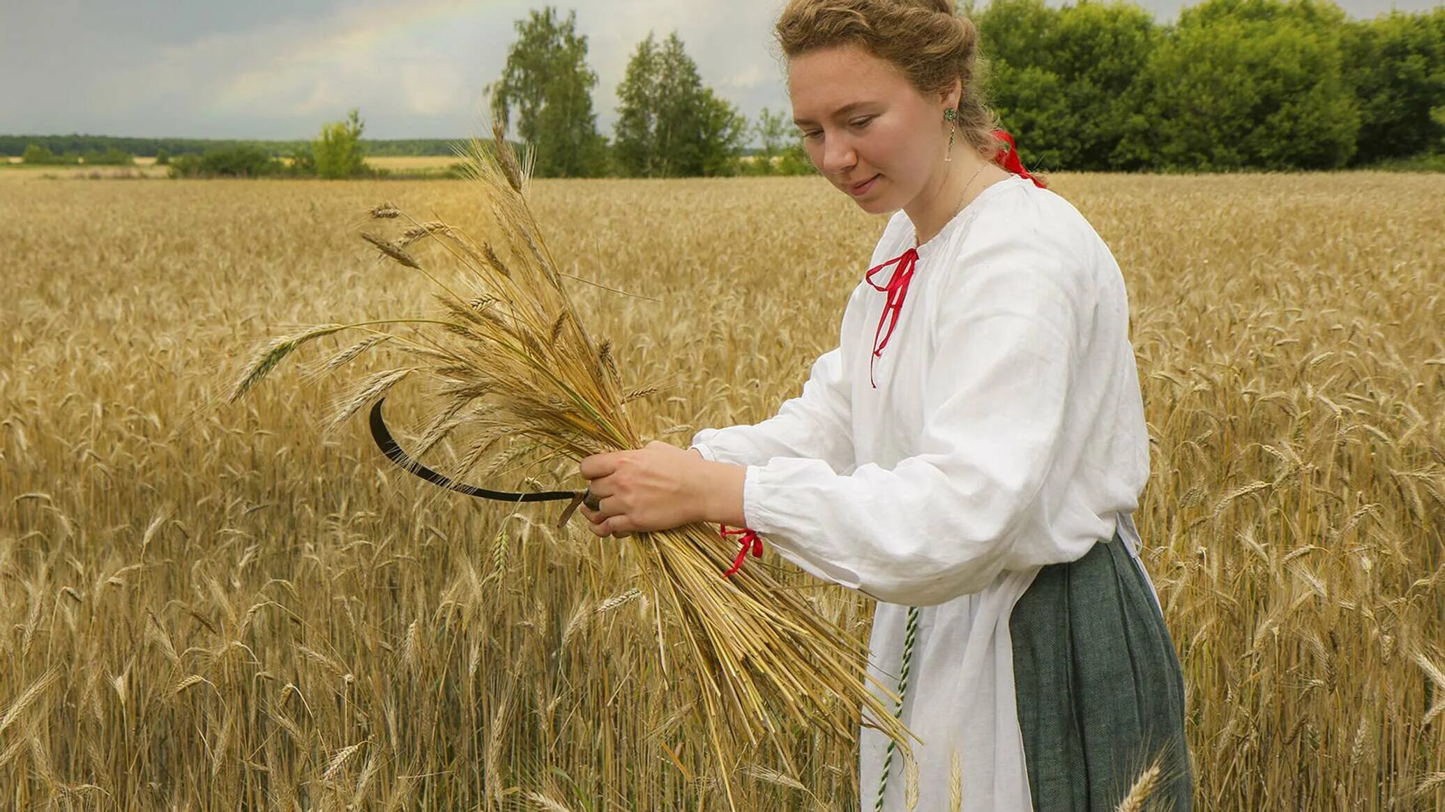 Ясь беларусь. Жать серпом. Браславщина. Ясь. Белорусский ясь.