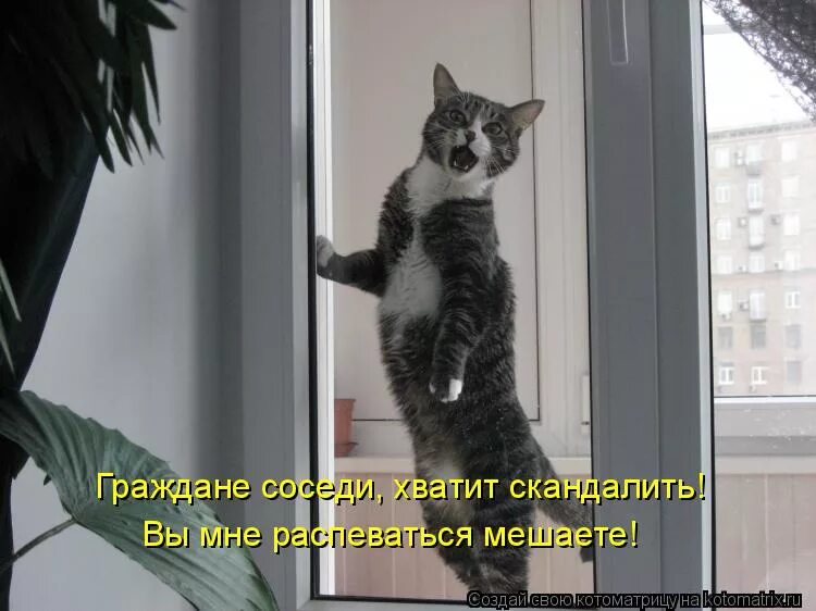 граждане соседи