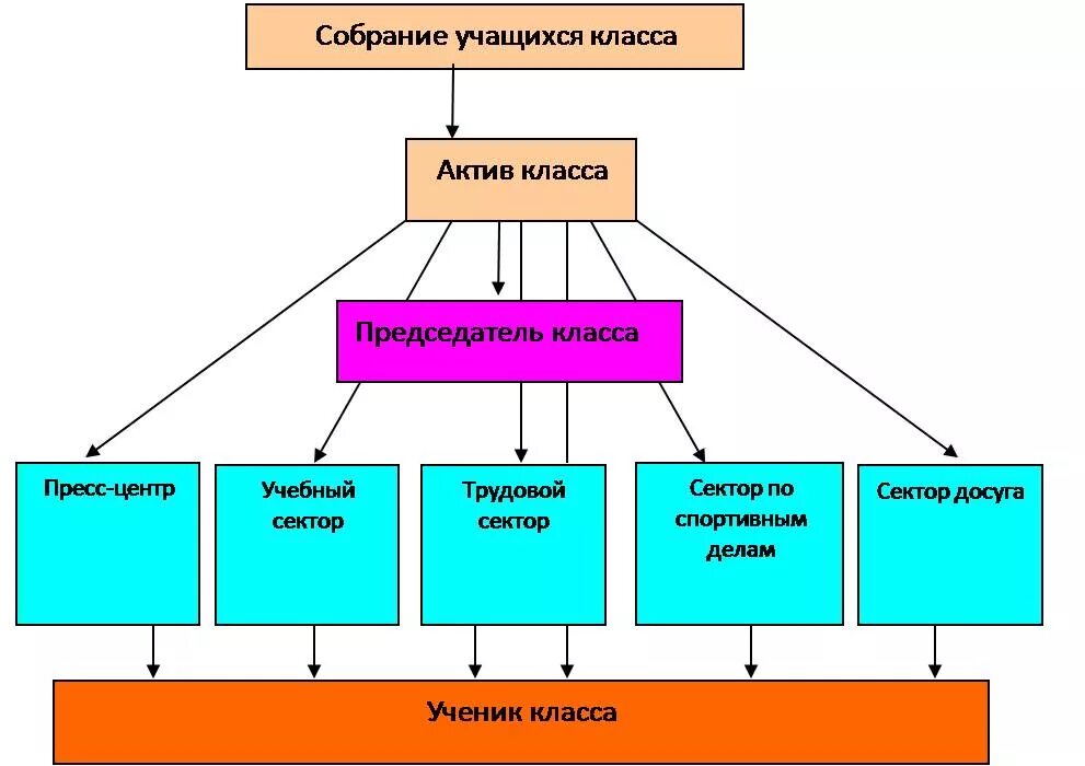 Органы самоуправления в классе. Структура школьного ученического самоуправления. Структура самоуправления в классе схема. Схема организации ученического самоуправления в классе. Схема ученического самоуправления в начальной школе.