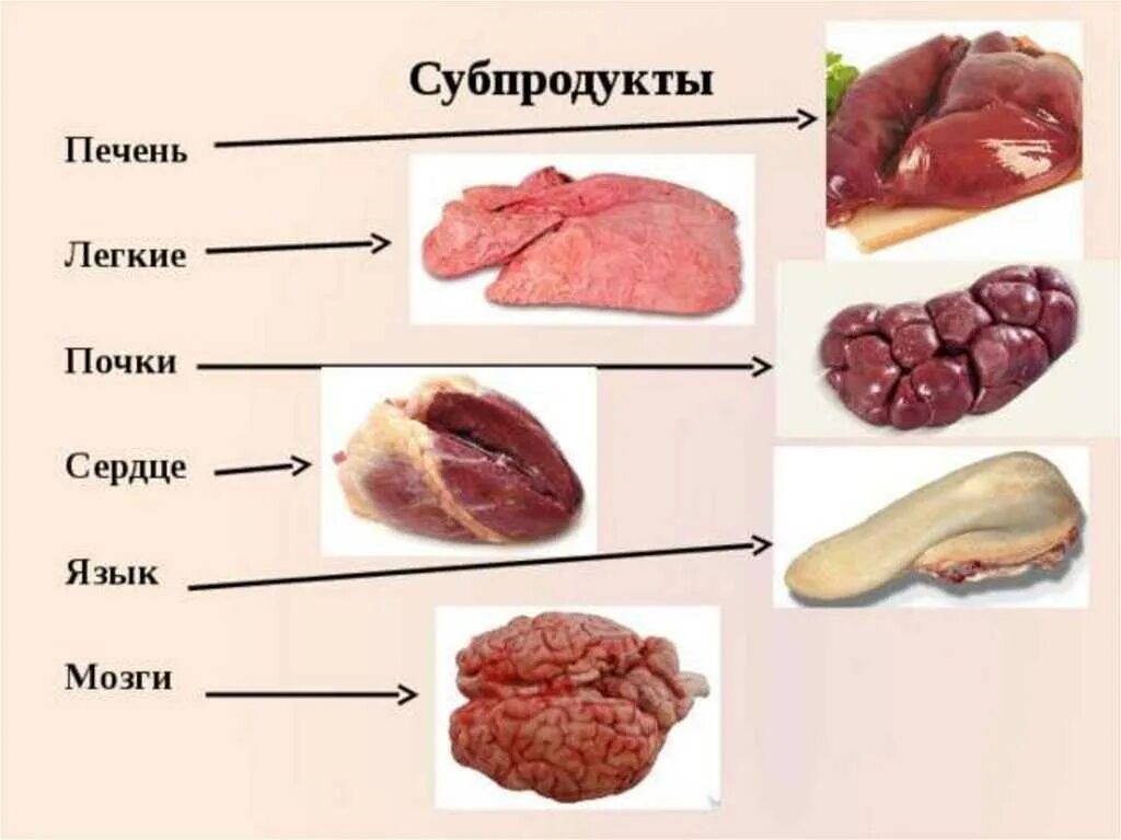 Можно есть говяжью. Субпродукты говяжьи классификация. Субпродукты мяса 1 и 2 категории. Обработка субпродуктов печень и почка. Схема классификации субпродуктов.