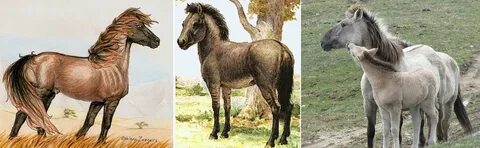 Вымершая лошадь
