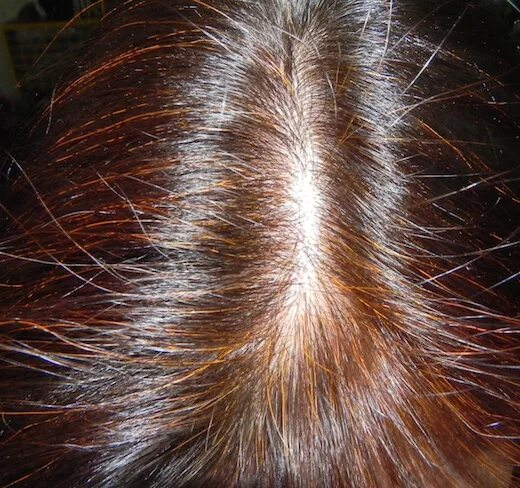 басма закрасить седые волосы. басма и седина. окрашивание волос хной до и после. хна басма седина. хна на седых волосах.