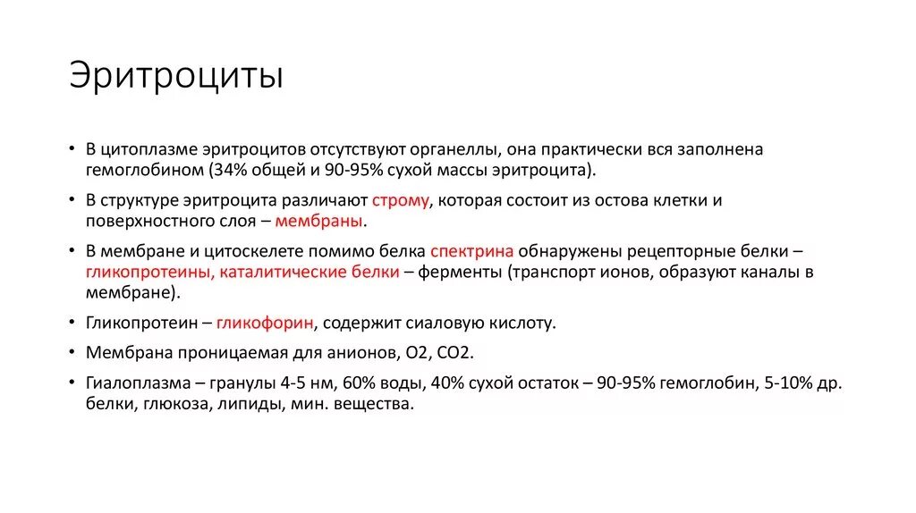 Эритроциты отсутствуют. Органеллы эритроцитов. цитоплазма эритроцита. какие органоиды отсутствуют в эритроцитах.