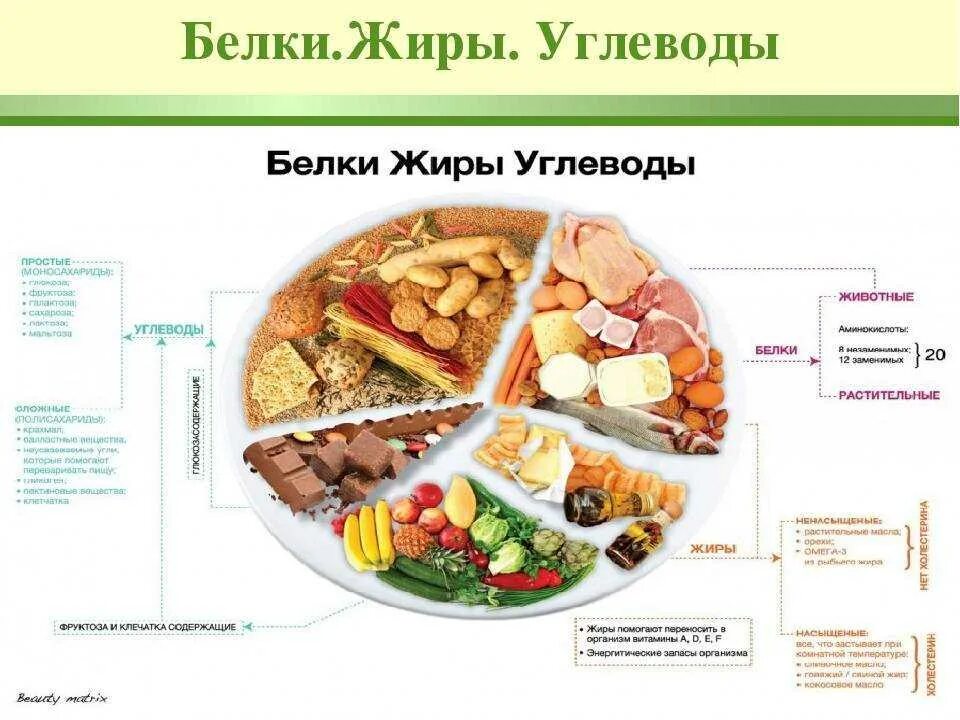 Компоненты правильного питания. Таблица продуктов питания белки жиры углеводы. таблица продуктов белки жиры углеводы клетчатка. правильный рацион питания схема белки жиры углеводы. белки жиры углеводы соотношение правильное питание таблица.