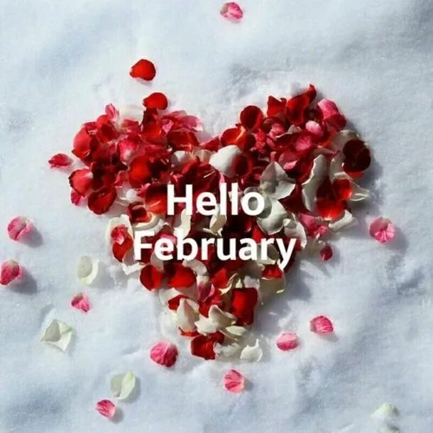 Hello february