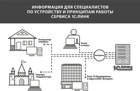Link пользователя