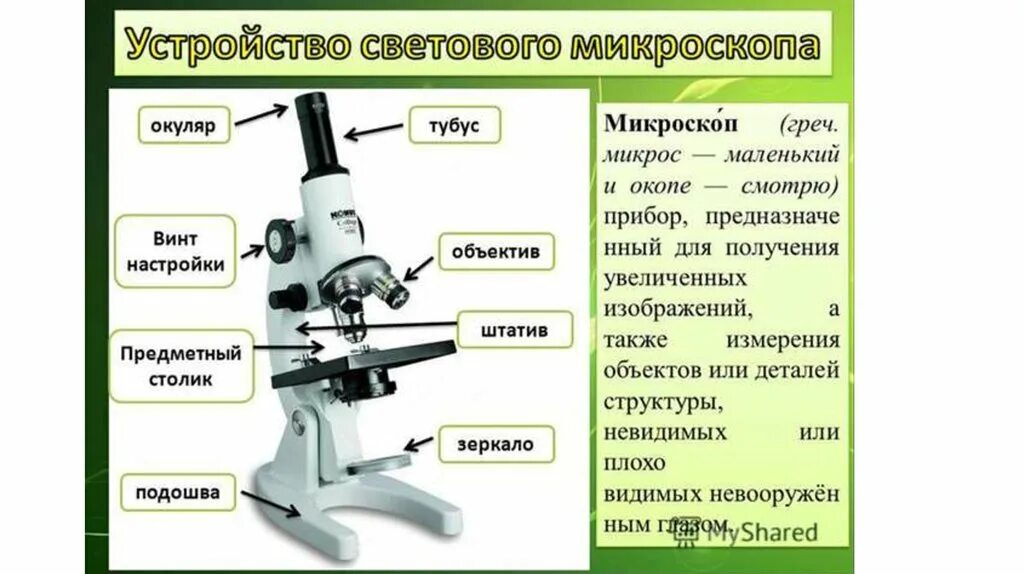 Каждая часть микроскопа. Строение микроскопа 5 класс биология. Строение микроскопа 6 класс. Название частей микроскопа. Строение микроскопа 8 класс биология.