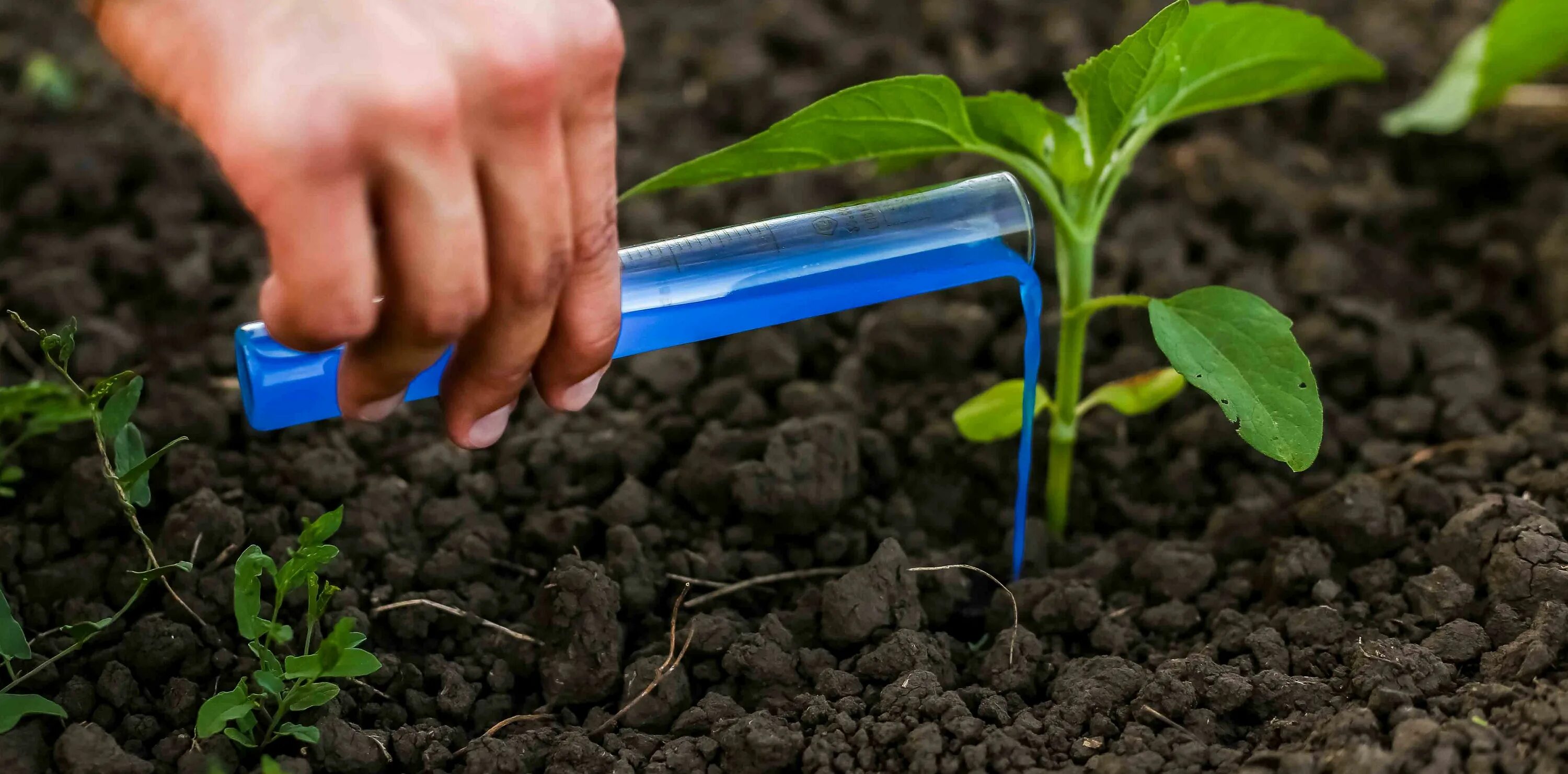 Plant protection. Агрохимия и удобрения. Пестициды и Минеральные удобрения. Удобрения в сельском хозяйстве. Агрохимия в сельском хозяйстве.