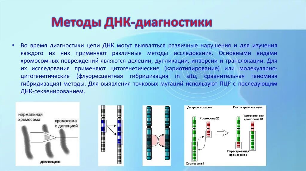 Сайт москва днк. Метод анализа ДНК. Современные методы ДНК диагностики ПЦР. Методы прямой ДНК диагностики. Методы изучения структуры ДНК.