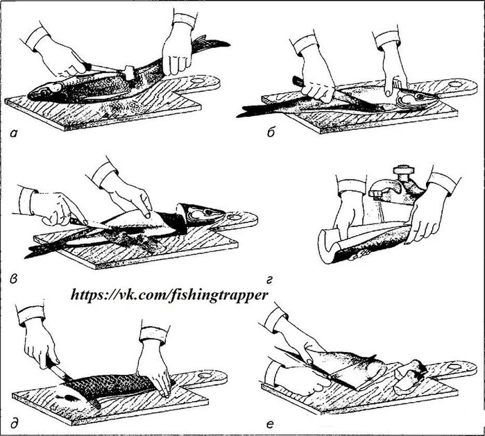 Технология разделки рыбы схема. Обработка рыбы. Способы обработки рыбы. Поэтапная обработка рыбы. Обработка рыбы операции