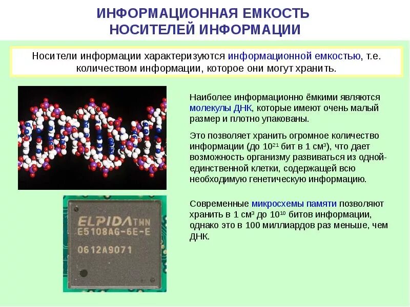 Ёмкость информационных носителей. Информационная емкость ДНК. Информационная емкость носителя информации это. Носители информации и их емкость. Информация имеет дату