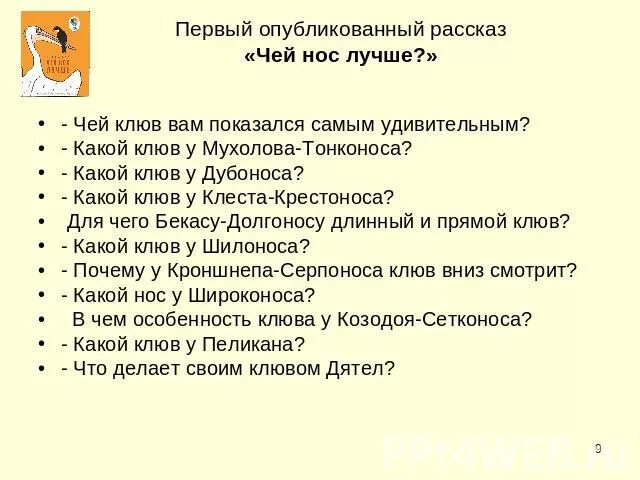 Какой рассказ принадлежит носов. Рассказ чей нос лучше. План к рассказу чей нос лучше. Чей нос лучше? Сказки Бианки. Вопросы к сказке чей нос лучше.