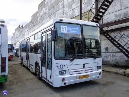 5 автобус есть