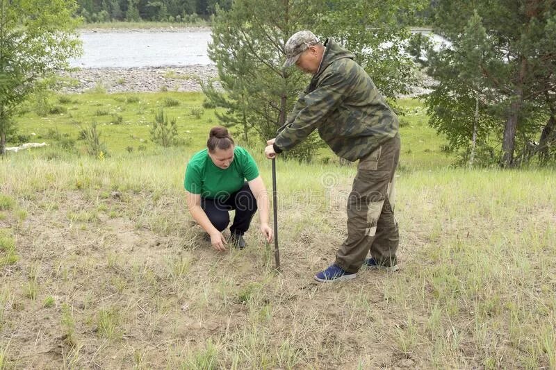 Как человек помогает лесу. Лесничий профессия. Лесник профессия. Лесник в лесу. Лесник сажает деревья.