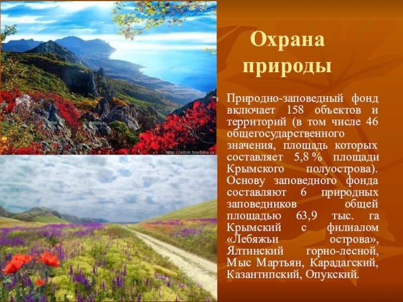 Природно заповедный фонд. Заповедный фонд Крымского полуострова. Природно-Заповедный фонд Приднестровья. Сообщение на тему Заповедный фонд Крымского полуострова.