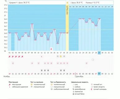 Программа бт интернет