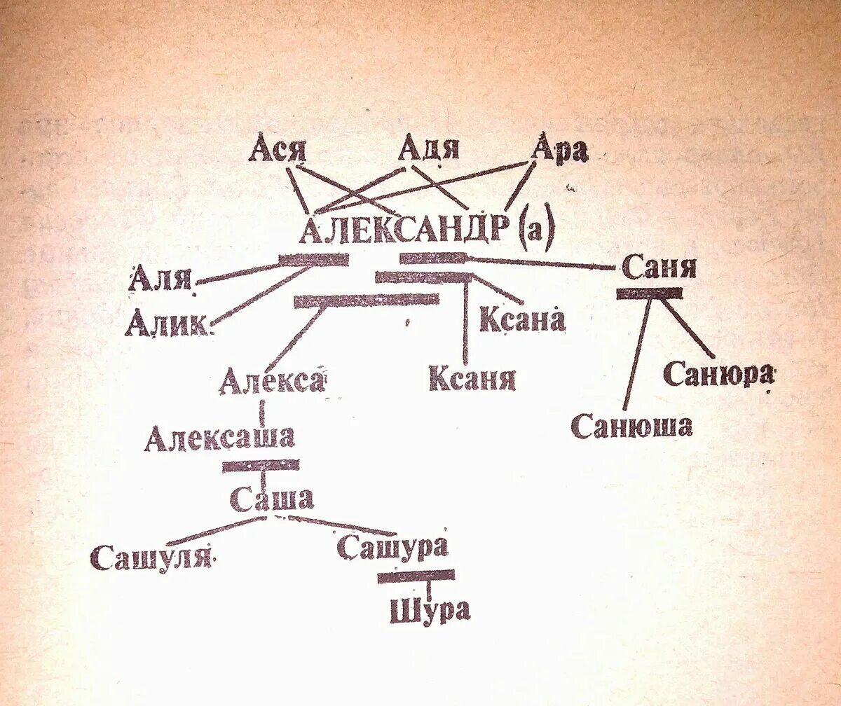 Как можно называть имя саша