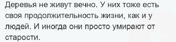 Божьей благодати пожелания. Молитва на оценку 3. Милость обновляется каждое утро. Милости на ночь фото. Милость божья обновляется каждое утро библия.