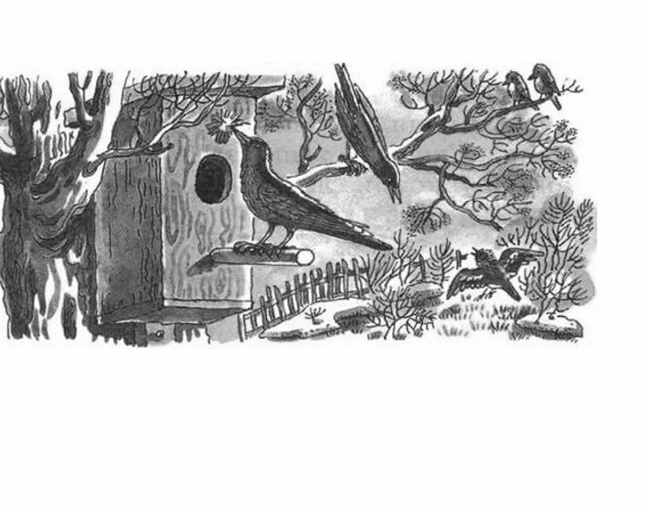 Куприн скворцы читать краткое. Произведение скворцы куприн. иллюстрация к рассказу куприна скворцы.