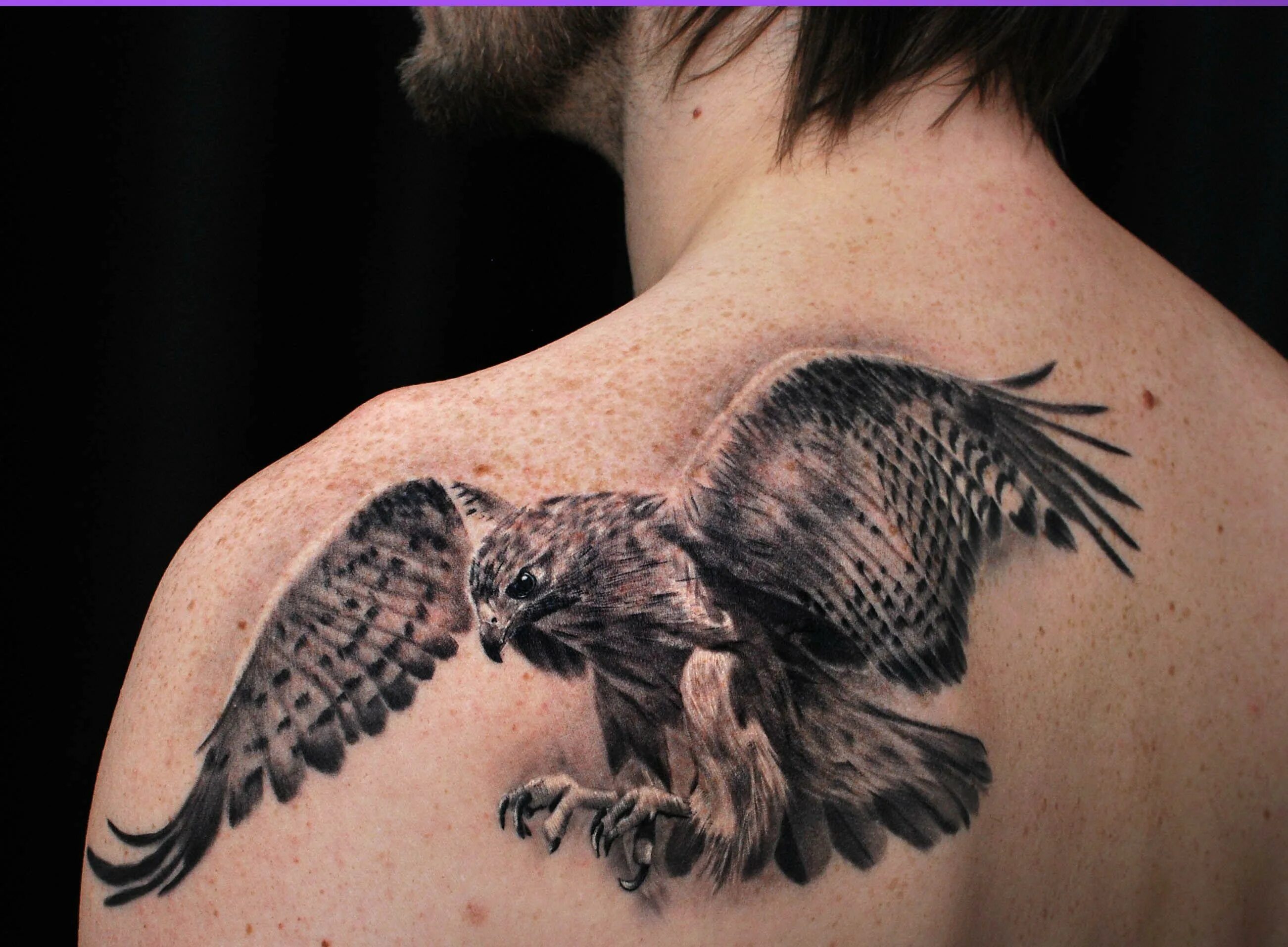 Королевский ястреб настороже тату. Тату сокол для мужчин. Сапса́н сокол тату. Тату сокол значение. Тату сокол значение.