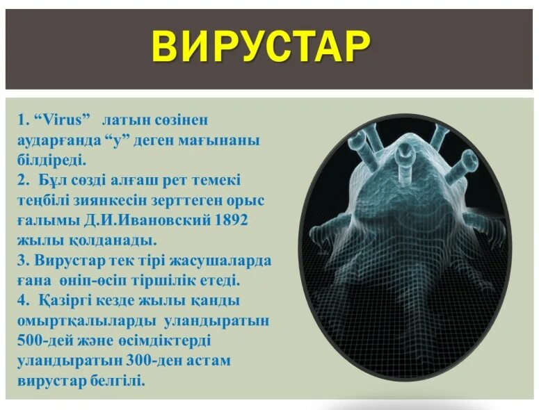 Первый вирус. Вирус деген не. Вирустар биология. Антивирусы презентация. Компьютердик презентация.