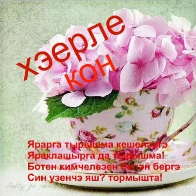 Открытки с добрым утром на татарском. Татарские пожелания с добрым утром. Пожелания доброго дня на татарском. Поздравление с добрым утром на татарском языке. Пожелания с добрым утром на татарском языке.
