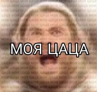 Цаца мем