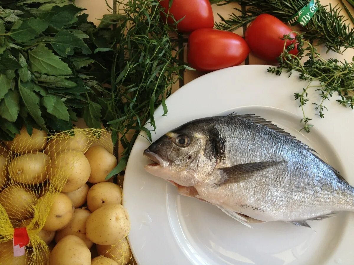 Сибас морской окунь. Дорадо в море. Черноморская дорадо рыба. Королевская дорадо. Дорадо атлантическая.