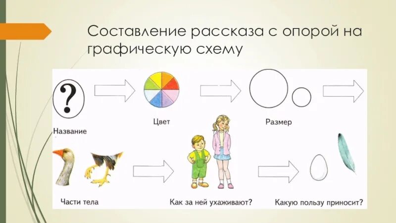 Схема описания человека. Схема описания птиц. Составление рассказа с опорой на схему. Составление рассказа о птице по схеме. Составление рассказа о домашней птице.