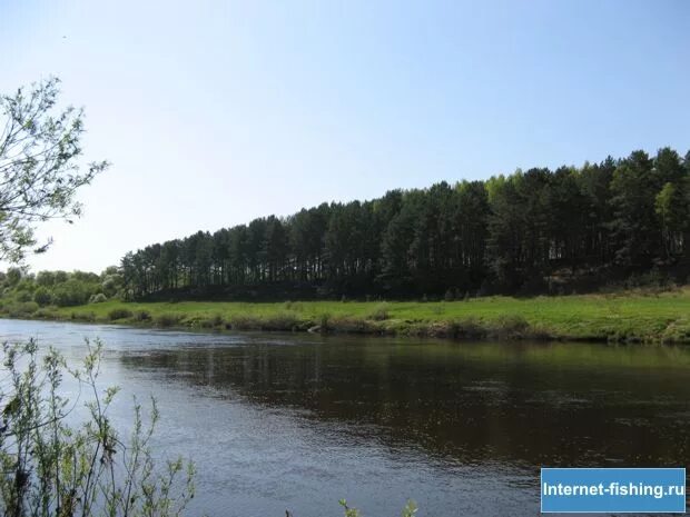 Угра подъем воды. Поселок Якшуново река Угра. Река Угра Бельдягино. Река Угра рыбалка. Якшуново Калуга Угра.