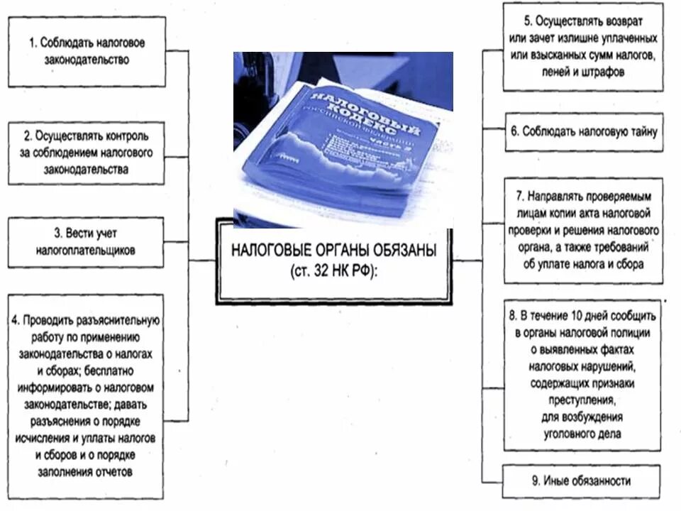 Интересы налоговых органов. Таблица налоговые органы и их обязанности.