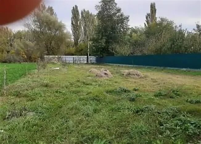 Левченко краснодарский край. Левченко краснодарский край. Левченко краснодарский край. Левченко краснодарский край. Хутор левченко краснодарский край.