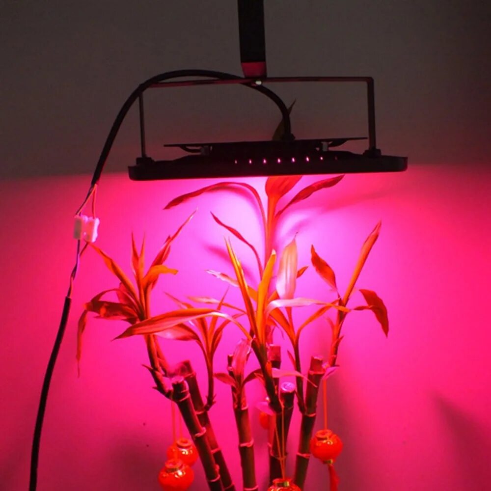 Фитолампа led grow Light. Лампа grow Bloom 150 Вт. 4000вт светильник для растений полный спектр. Фитолампа 100вт. Прожектор для растений