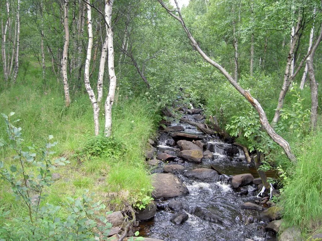 малые дикие ручьи мурманская область. переборы на гитаре ноты. переборы ручьев. вологодская область река сухона опоки. река чусовая перекаты.