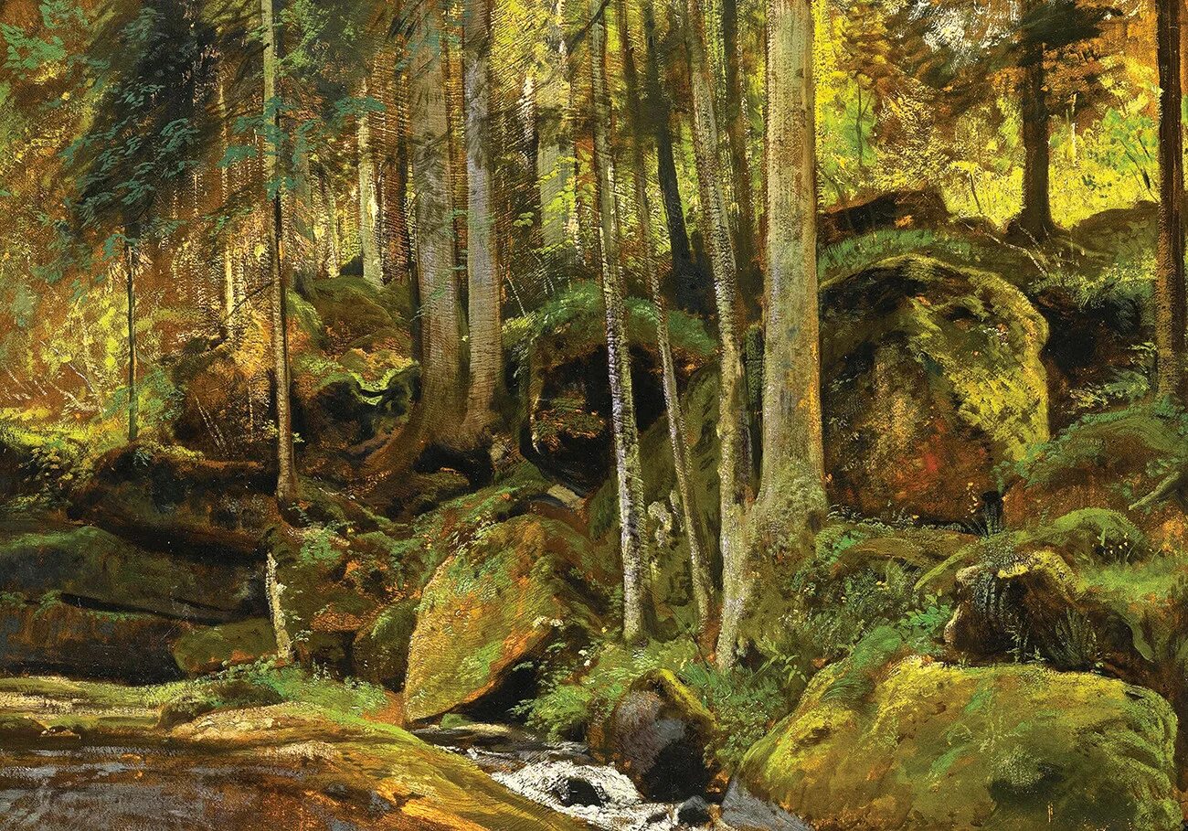 И И Шишкин ручей в лесу (на косогоре)». 1880. Картина Шишкина Лесной ручей.